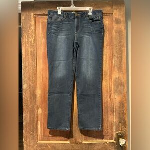 Democracy Blue Jeans LOT - size 16